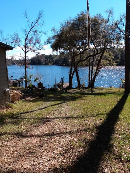 Talquin Tree Experts & Hauling LLC