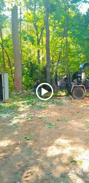 Flores Tree Service Knoxville