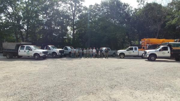 T J Collins Landscaping