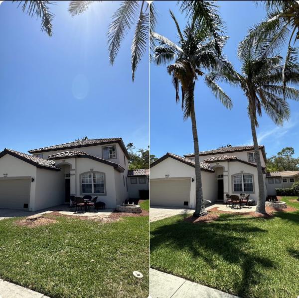 City Tree Care LLC