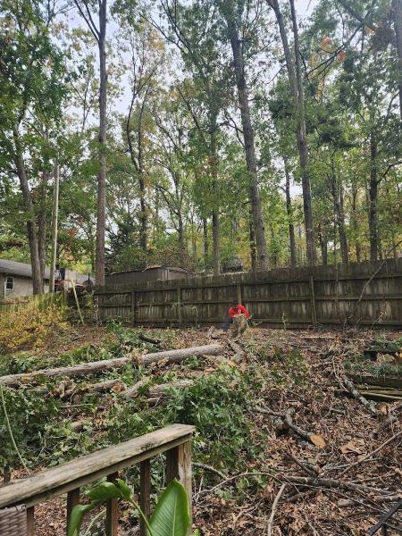 Alberto s' Tree Service