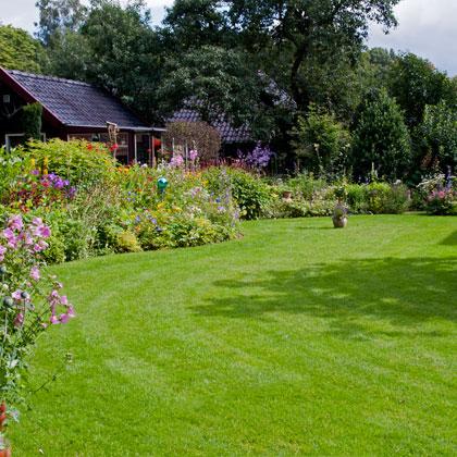 5 Star Lawn Care Services