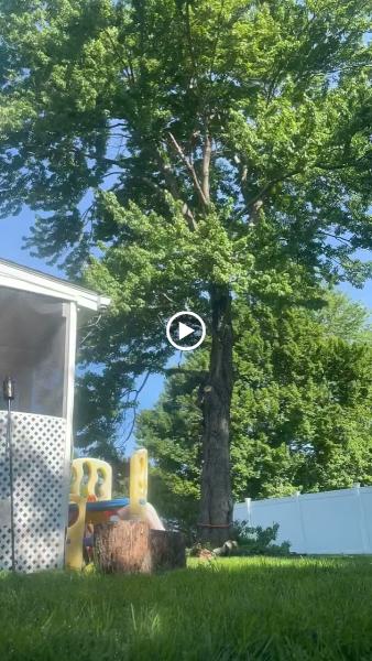 Arbormax Tree Care LLC
