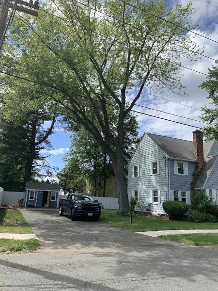 Arbormax Tree Care LLC