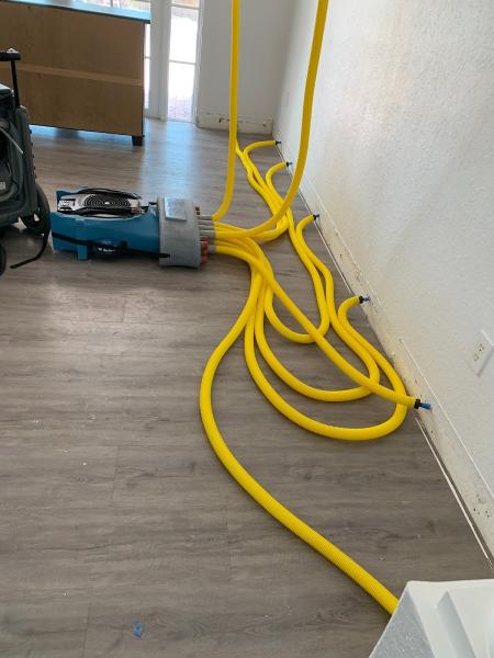 FL Cleanup