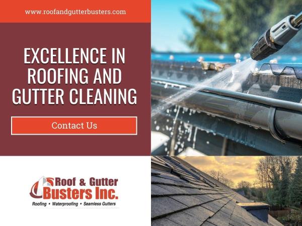 Roof & Gutter Busters