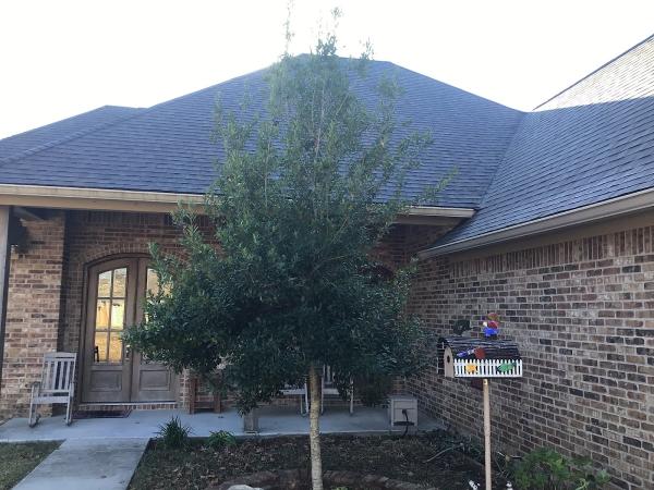 Lifetime Roofing Llc.