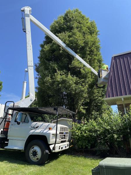 Ward's Tree Service Inc.