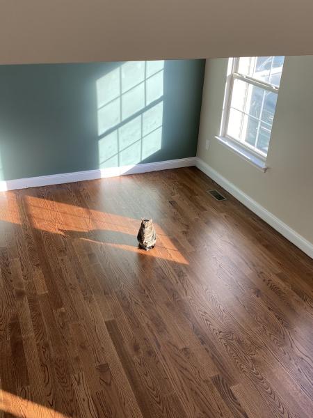 Doylestown Floor