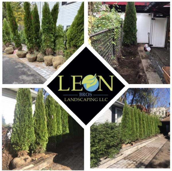 LeÓn Brothers Landscaping LLC