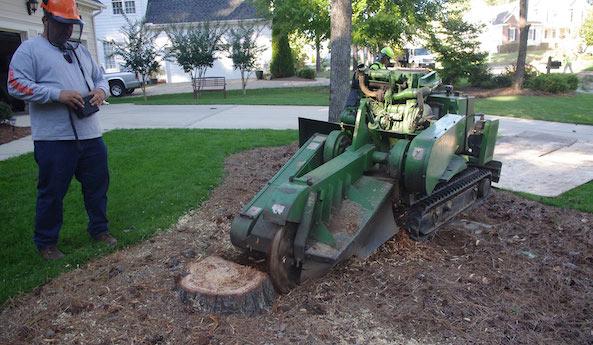 Pensacola Tree Service LLC