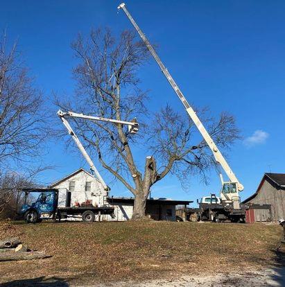Pensacola Tree Service LLC