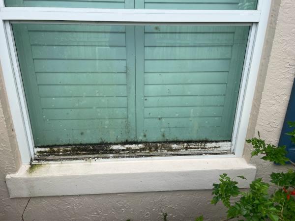 EM Pressure Washing