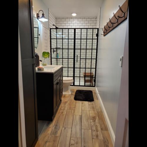 Optimal Painting and Restorations