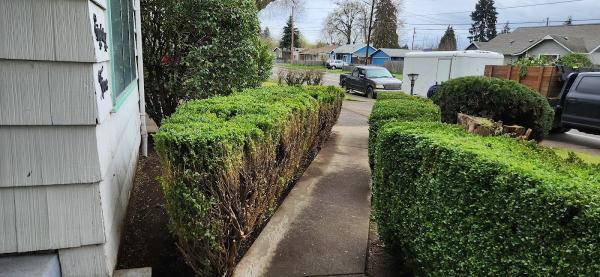 Oregon Yard Care & Construction Llc.