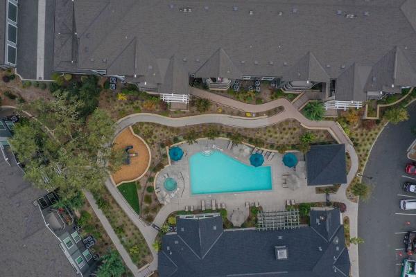 Green Vine Landscaping