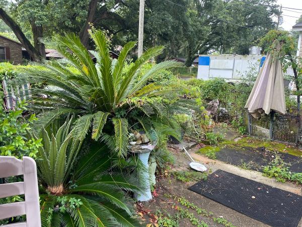 Elegant Lawncare & Maintenance LLC