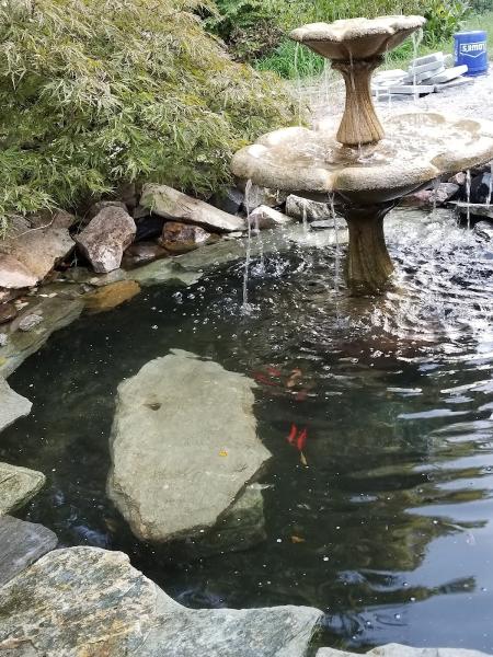 Thomas Aquatics