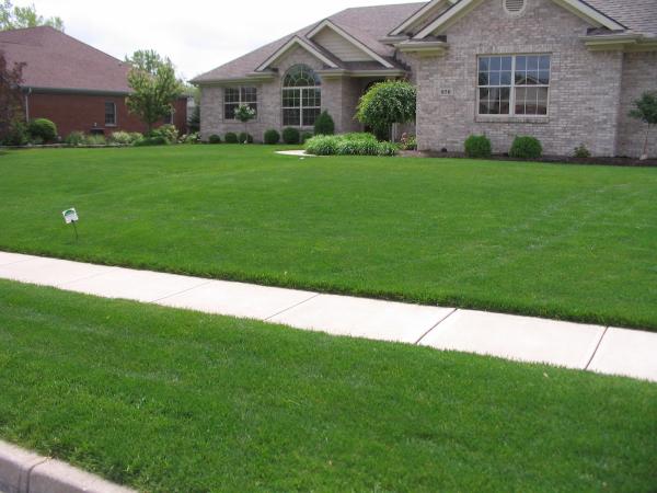 Purelawn Organic Lawncare