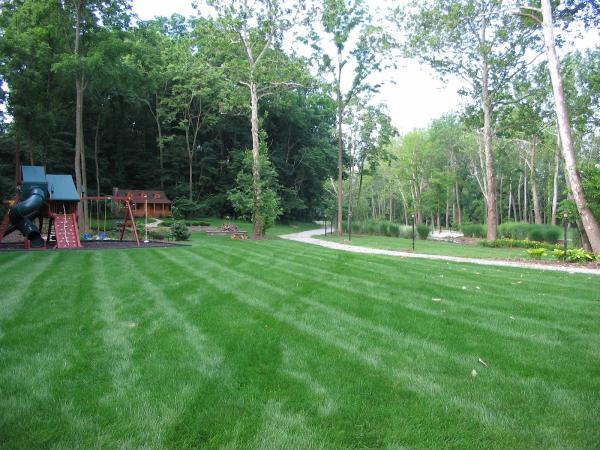 Purelawn Organic Lawncare