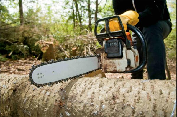 Complete Tree Services