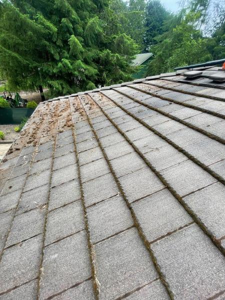 Bayside Exterior Cleaning