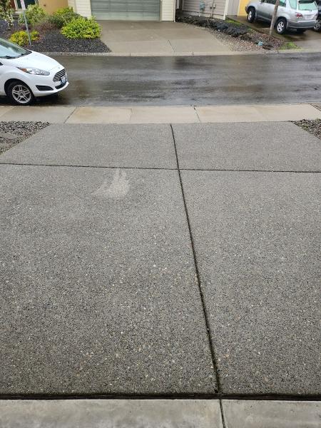 Bayside Exterior Cleaning