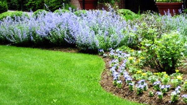 Bloomsbury Landscapes