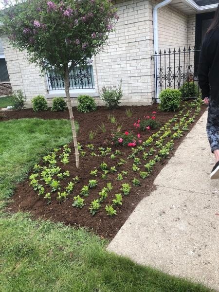 A Balderas Landscaping & Snow Removal Corp.