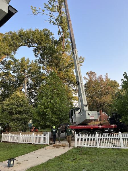 Integrity Tree Care
