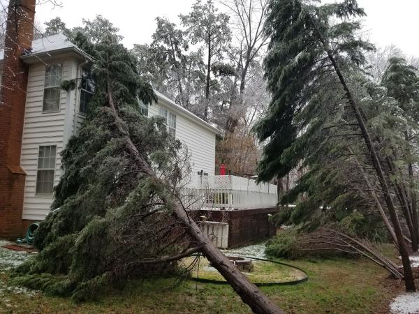 Integrity Tree Care