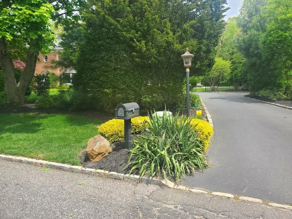 Streeff Tree Experts Inc