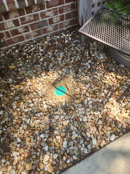 Premier Termite & Pest Control