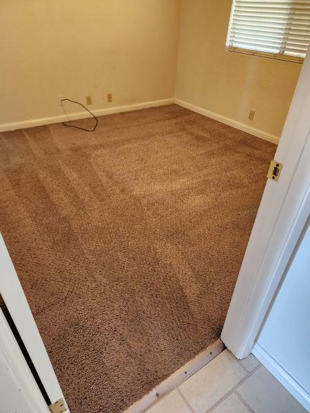 A Plus Carpet Cleaning