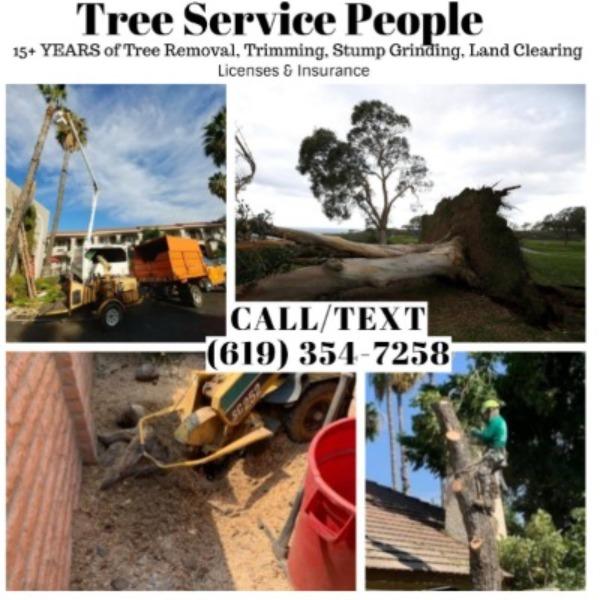 San Diego Tree Service People