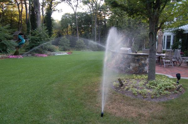 Automatic Irrigation Design
