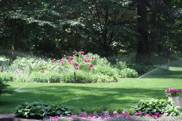 Automatic Irrigation Design