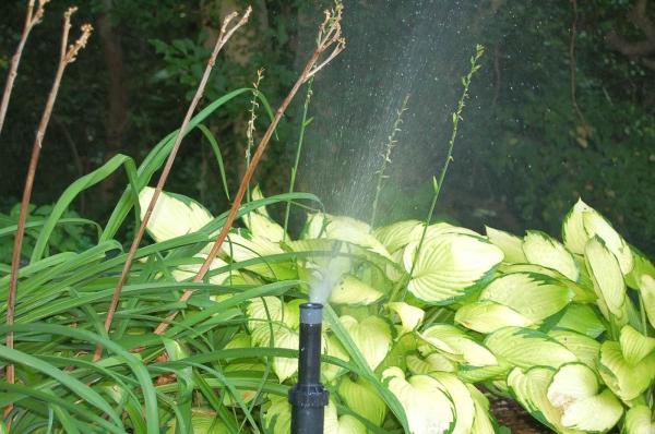 Automatic Irrigation Design