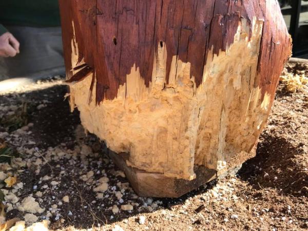 Cumberland Exterminating LLC