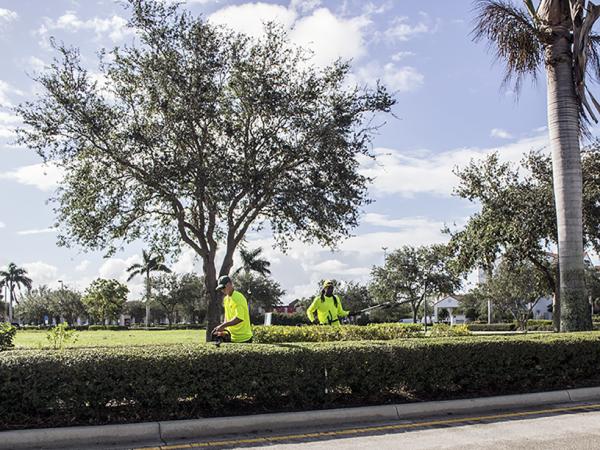 C & C Environmental Pest Control Group