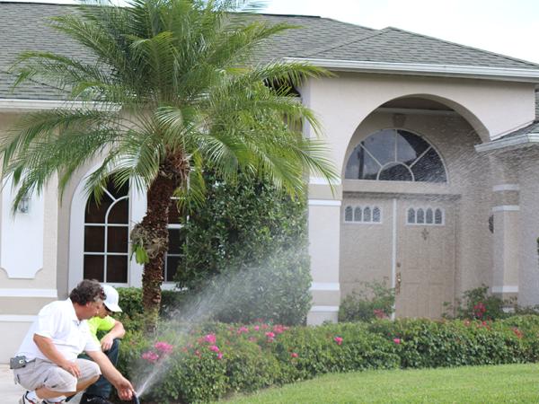 C & C Environmental Pest Control Group