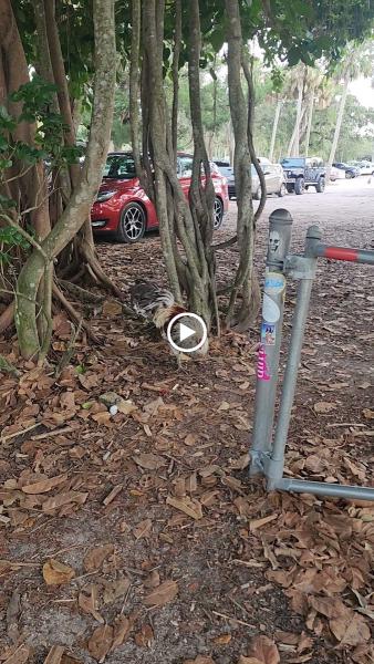 A-1 Parking Lot Renewal