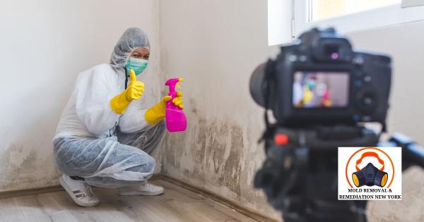 Mold Removal & Remediation New York