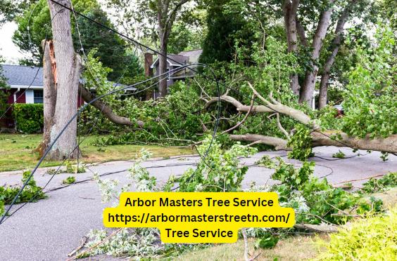 Arbor Masters Tree Service