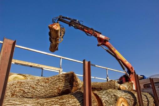 Arbor Masters Tree Service