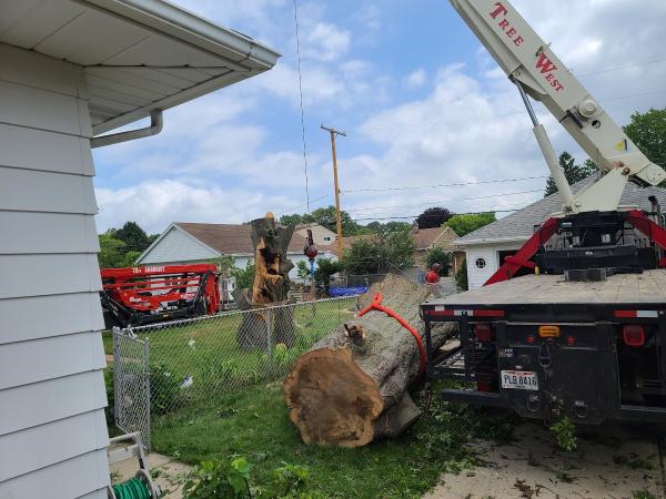 Schades Tree Service