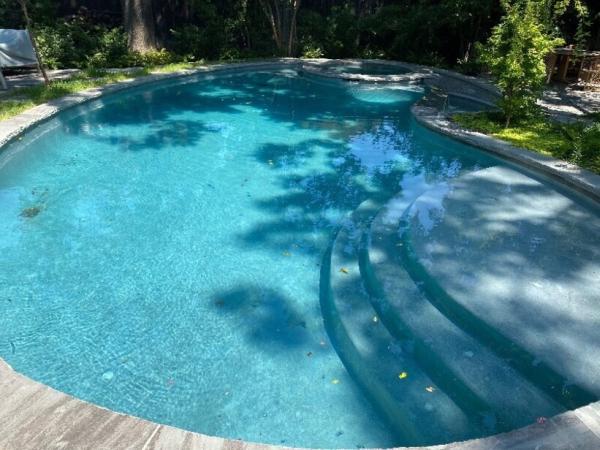 Deluxe Pool Cleaners