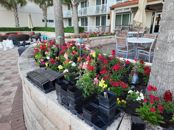 Nellys Landscape Services LLC