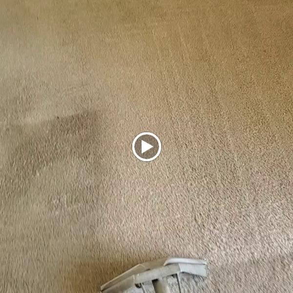 Spot Off Carpet Cleaning