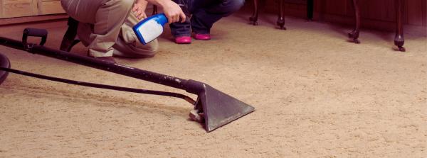 Don & Sons Carpet Cleaners